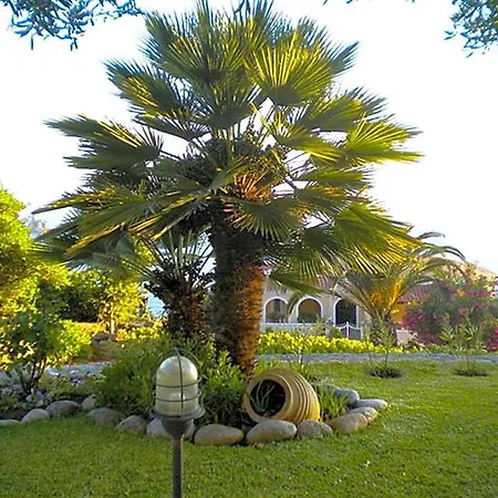 Natalia B With Panoramic Sea Views Of Agios Gordios Bay 4* Corfu (city)